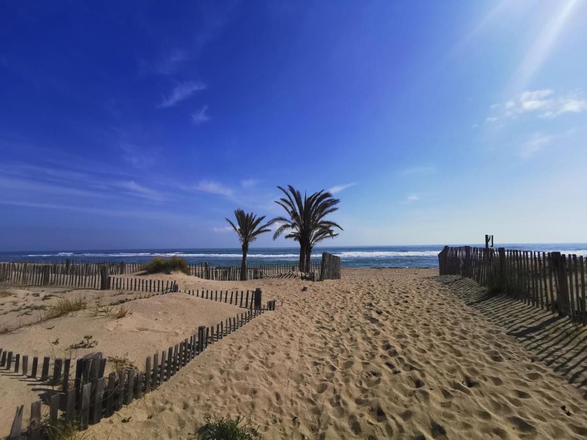 Soleil Levant 2 - En Bord De Mer - Superbe Appartement Cosy - Acces Direct Plage - Proche Commerces Et Animations Le Barcares Ngoại thất bức ảnh